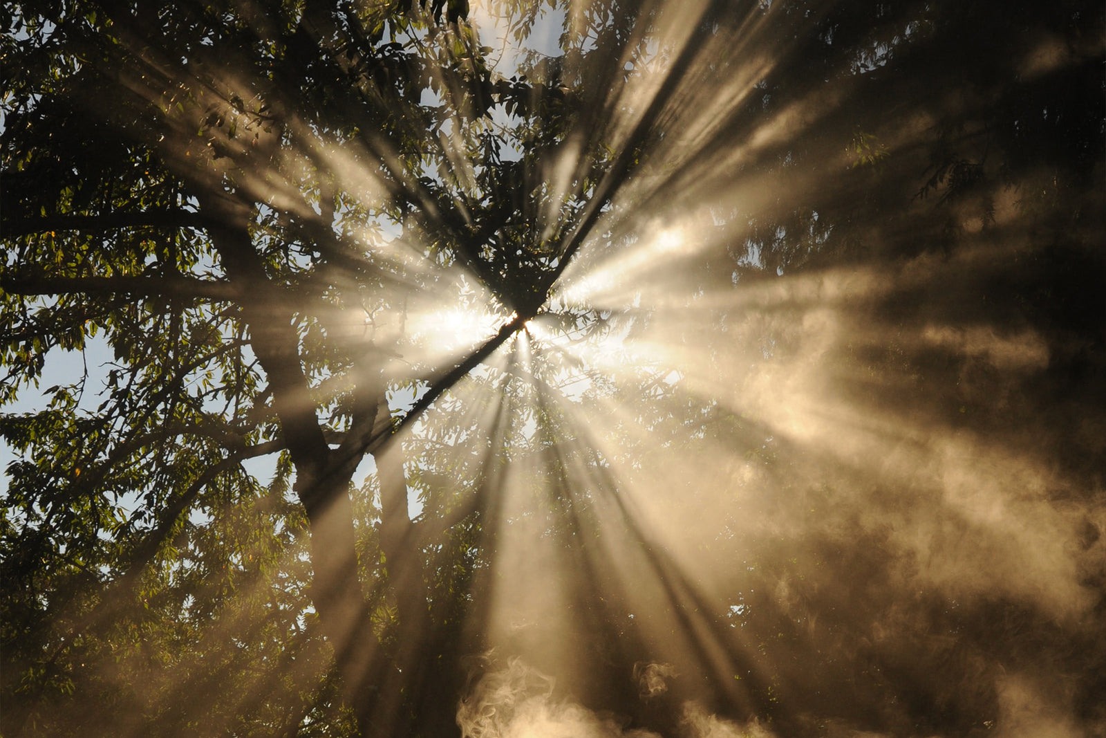 Christus Resurrexit, Alleluia!