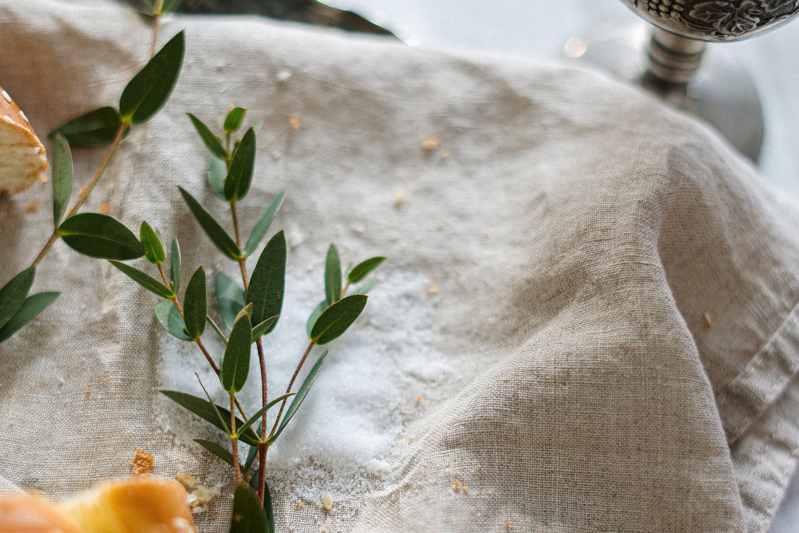 Blessed is the King who comes in the name of the Lord