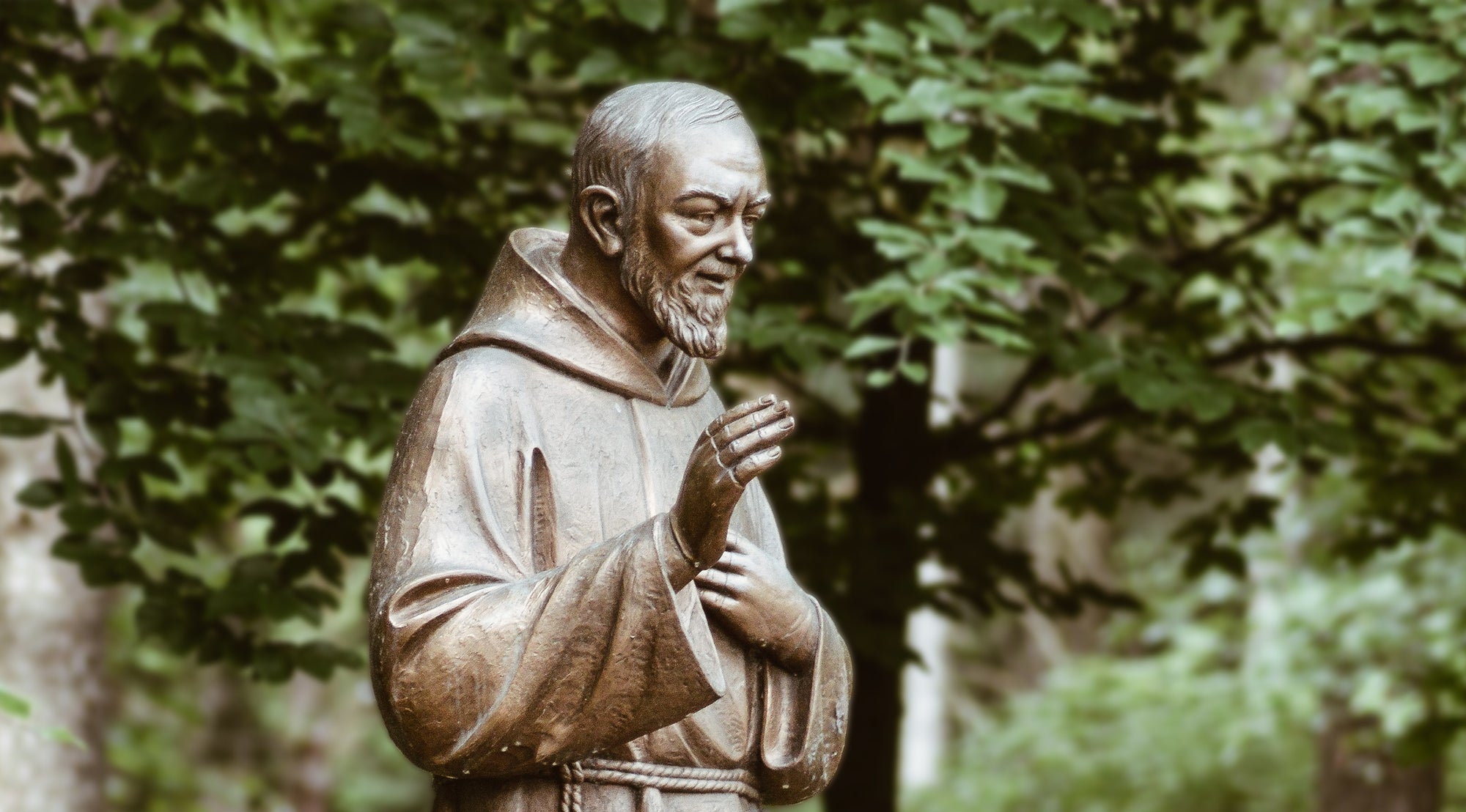 “I accept all Americans as my Spiritual children.” <br>St. Pio of Pietrelcina